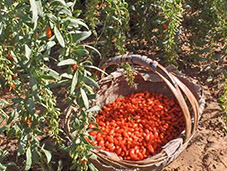 9��3�ա�����ĳ���Ʒ�ƶ�λ��ԃ(x��n)�(xi��ng)Ŀ�R��(b��o)���A�M��Ļ��