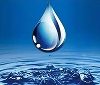 2024��ˮ���ИI(y��)������ԃ��˾����