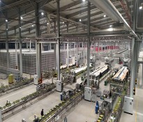 �Ƽ���˾н���OӋ�����l(f��)��(chu��ng)���������I�Ƽ�ǰ�ء��Ƽ��ИI(y��)�����YԴ��ԃ-�Ƽ��ИI(y��)н�꿃Ч-�ɶ��Ƽ��ИI(y��)������ԃ��