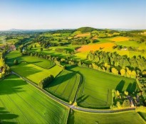 �r�I(y��)�ИI(y��)н���OӋ������н����Ұ���ի@�˲ŴT�����r�I(y��)�����YԴ��ԃ-�r�I(y��)н�꿃Ч-�ɶ��r�I(y��)�ИI(y��)������ԃ��