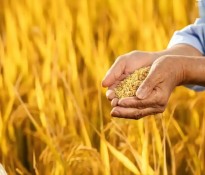 �r�I(y��)��I(y��)������Ч֮�����y�ֹ�����ԃ��˾����(chu��ng)�x�͡��r�I(y��)�ИI(y��)������Ч-�r�I(y��)�ИI(y��)�����YԴ-�r�I(y��)�ИI(y��)������ԃ-�ɶ�������ԃ��˾��