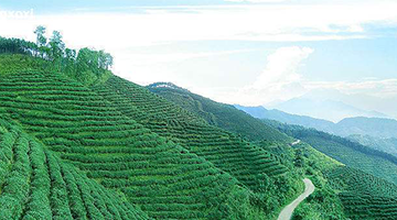 �����Έ@�^(q��)���졿���������о���(b��o)�桿-�ɶ��������о���(b��o)��