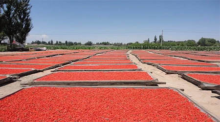 �����ԃ��������ИI(y��)����(w��)���ɶ�Ʒ�ơ��¹���轡��������ԃ������Ʒ�ƶ�λ��ԃ����(w��)��